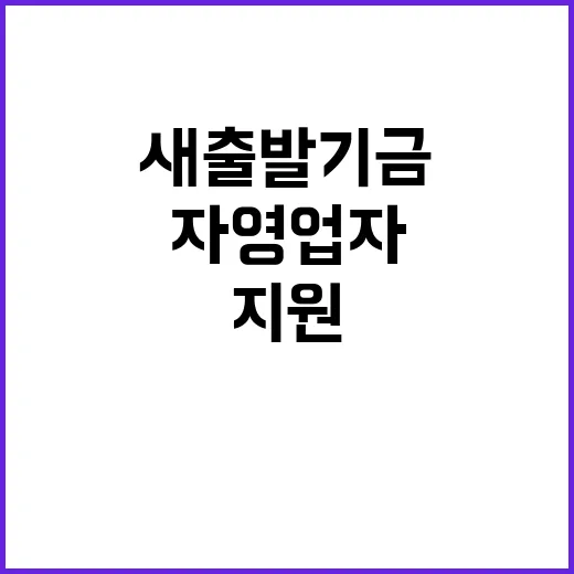 새출발기금 자영업자…