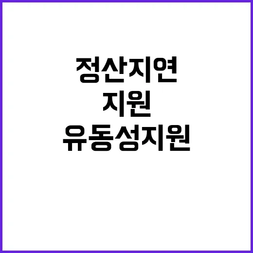 정산지연 기업 유동…