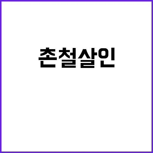 촌철살인