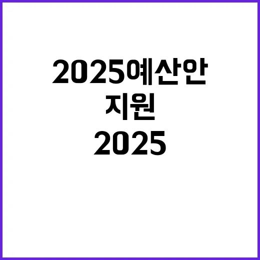 2025 예산안 분들을 응원하는 힘찬 지원!