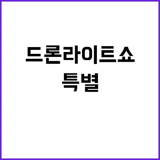 왕릉 드론 라이트쇼…