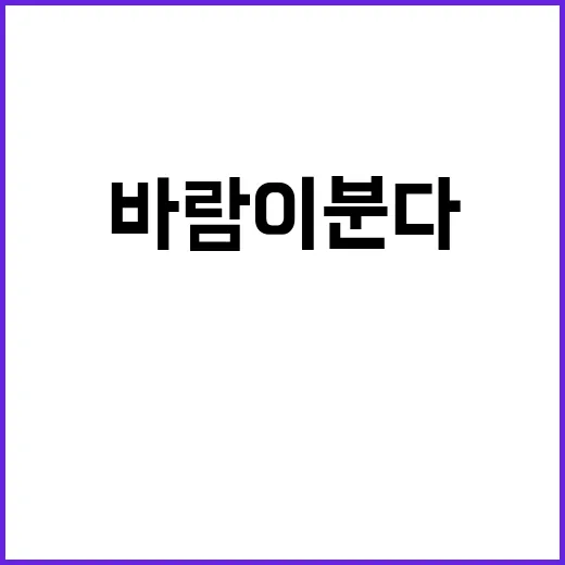 봄바람 프로젝트 시…