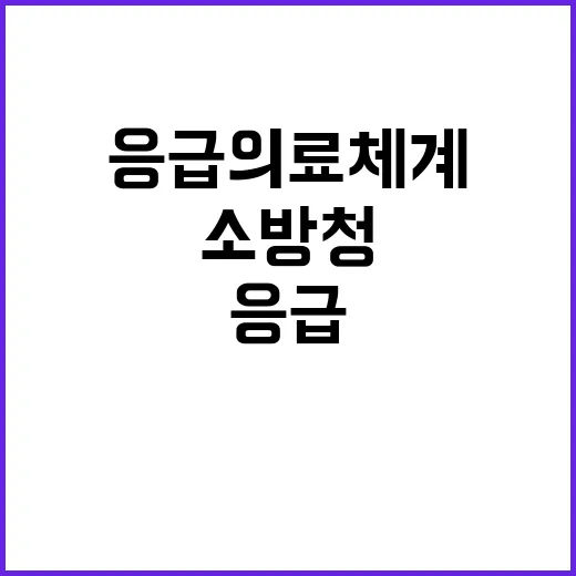 소방청 응급의료체계 유지 위한 최선 다짐!