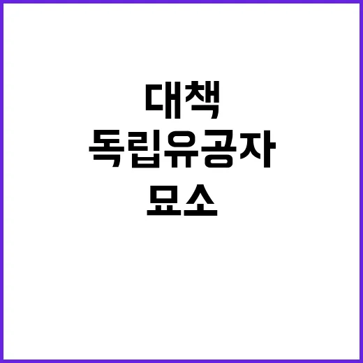 독립유공자 묘소 관리 강화 대책 공개!