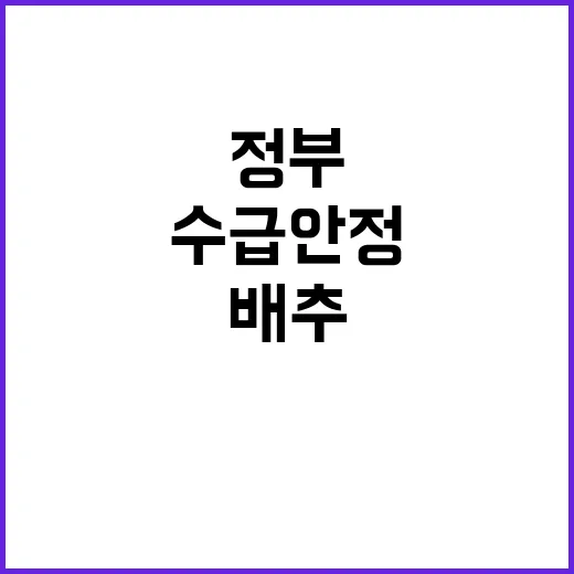 배추 수급 안정 정…