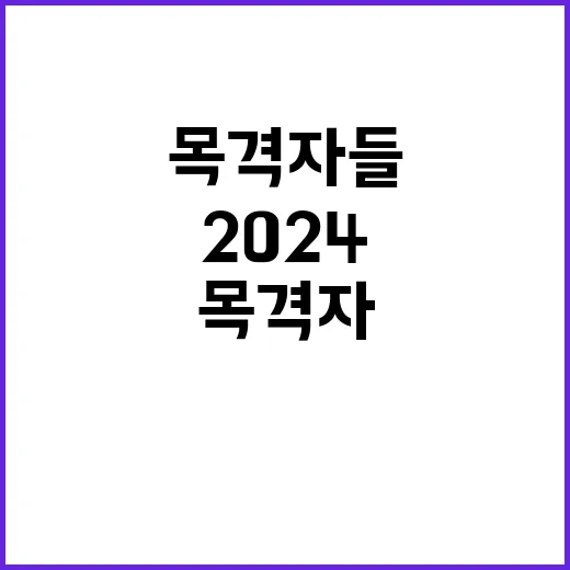 목격자들 2024