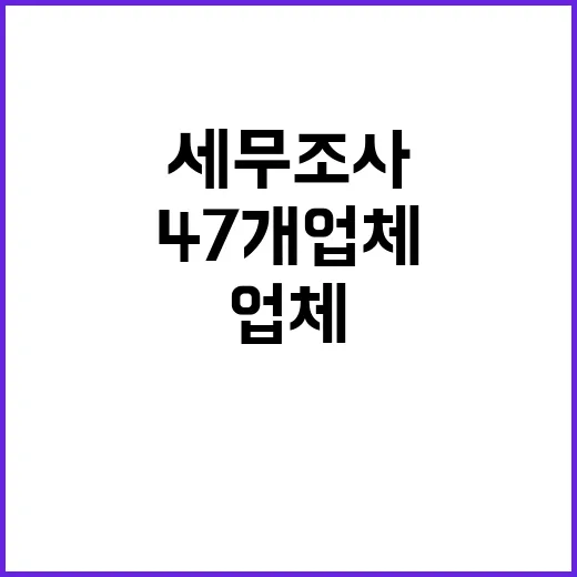 국세청 47개 업체 세무조사 결과 대란 예고!