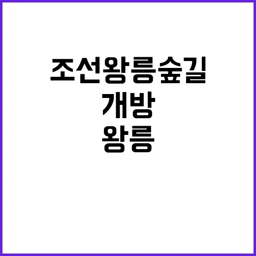 조선왕릉 숲길 10월 1일 개방! 놓치지 마세요!