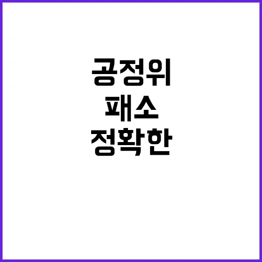 공정위 패소 줄이기 위한 정확한 판단 발표!