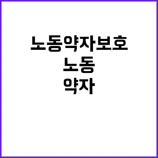 노동약자 보호 고용…