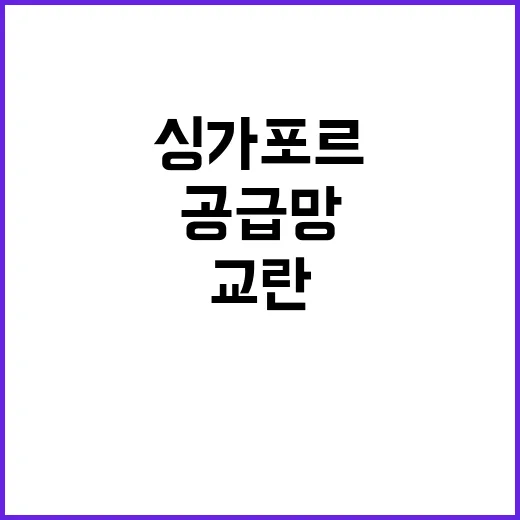 공급망 약정 한싱가…