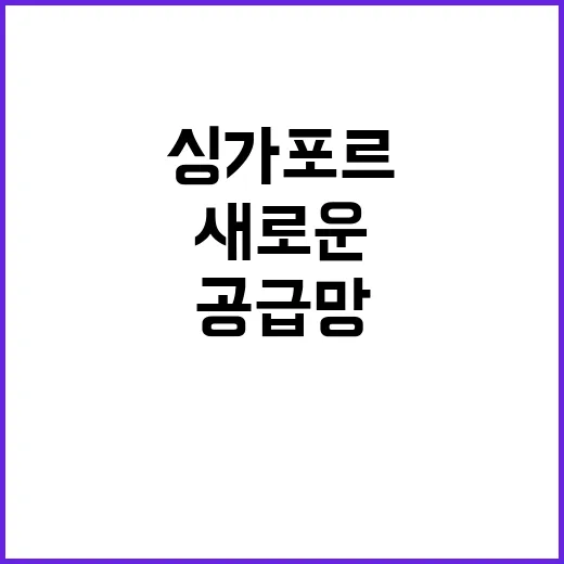 한싱가포르 공급망 …