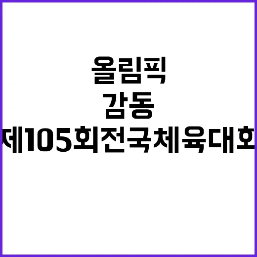 올림픽 감동 다시! ‘제105회 전국체육대회’ 열림.