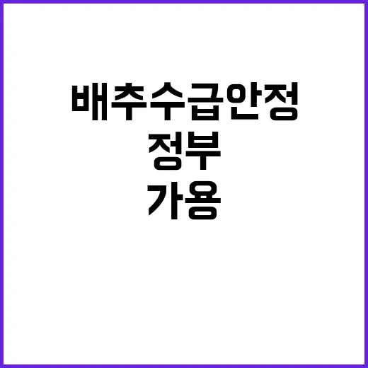 배추 수급안정 정부…