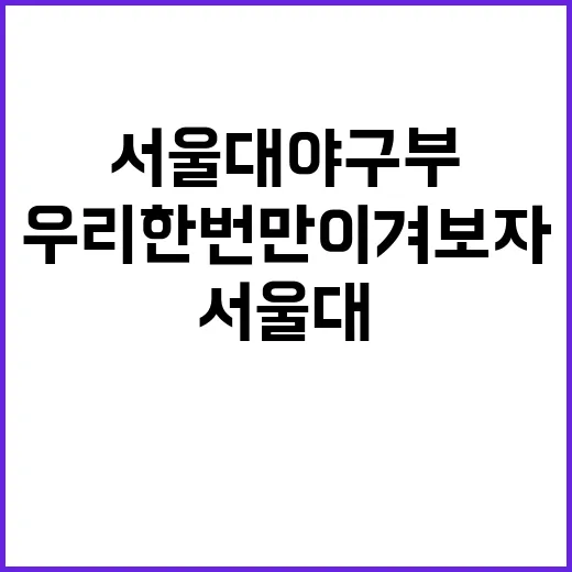 서울대 야구부: 우리 한 번만 이겨보자