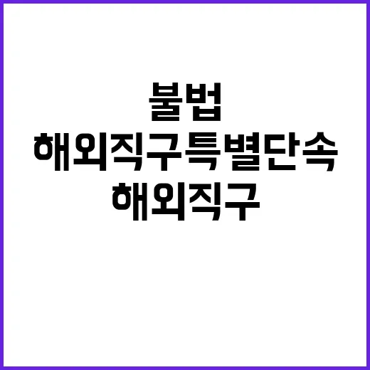 해외직구 특별단속 …