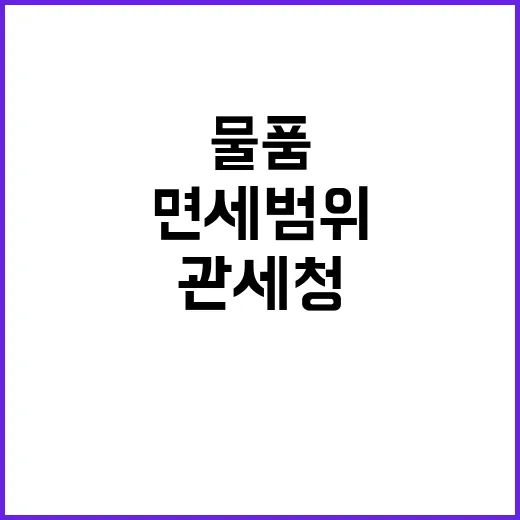 관세청 “면세 범위…