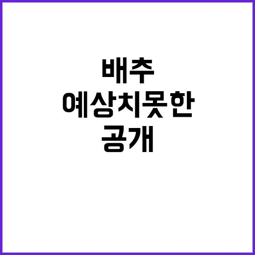 배추 가격 예상치 …