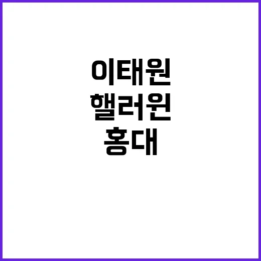 핼러윈 대비 특별대…