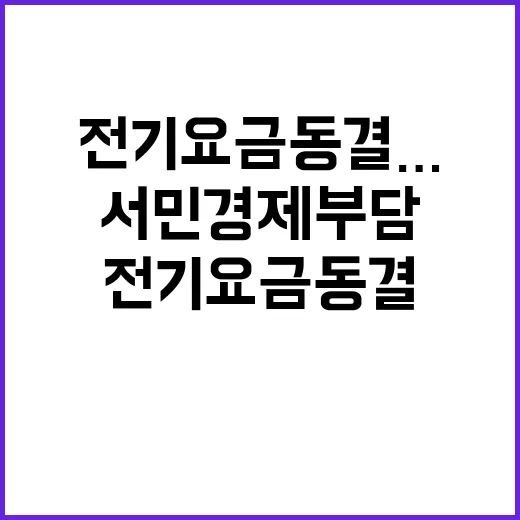 전기요금 동결…서민경제 부담 해소 기대감!