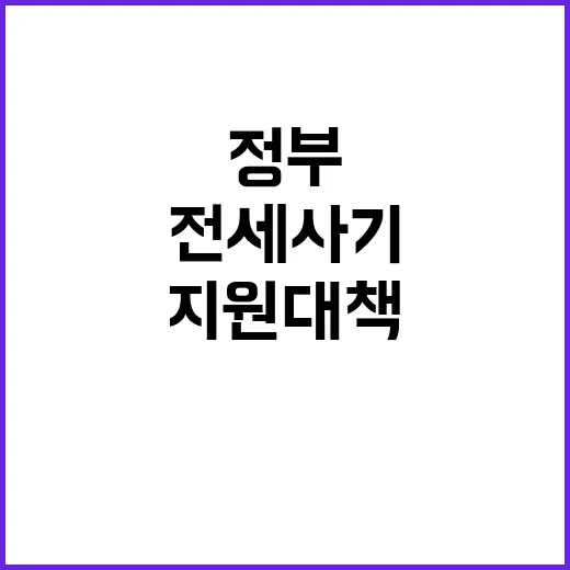 전세사기 피해자 증…