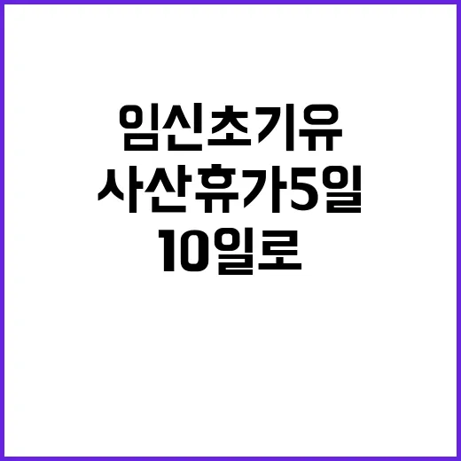 임신초기 유·사산휴…