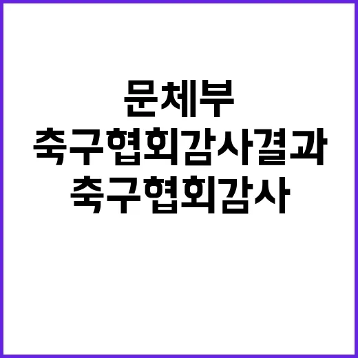 문체부 축구협회 감사 결과에 모두 주목!