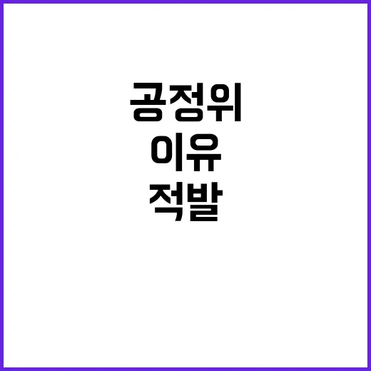 공정위 반칙행위 5…