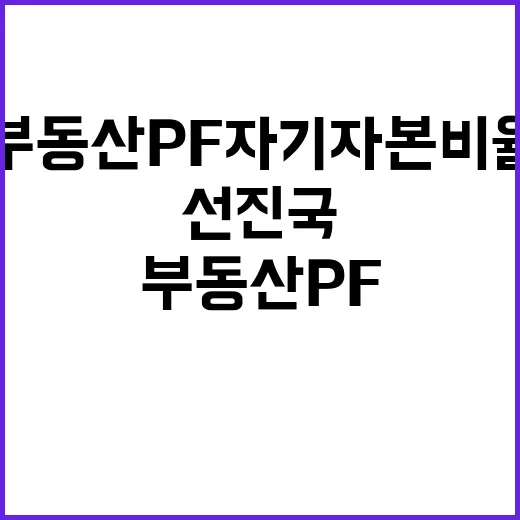 부동산 PF 자기자…