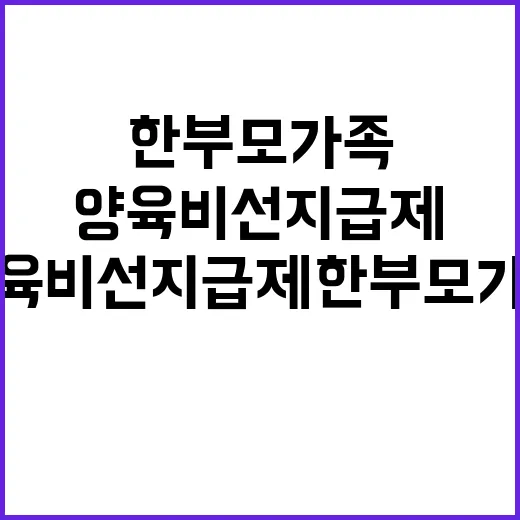 양육비 선지급제 한…