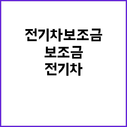 전기차 보조금 산업…