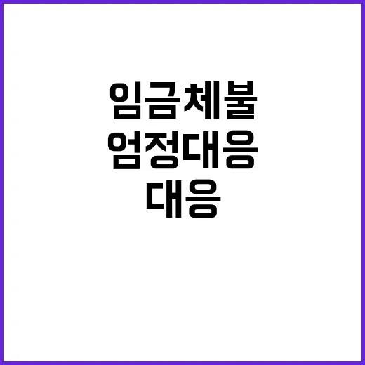 임금체불 중대범죄로…