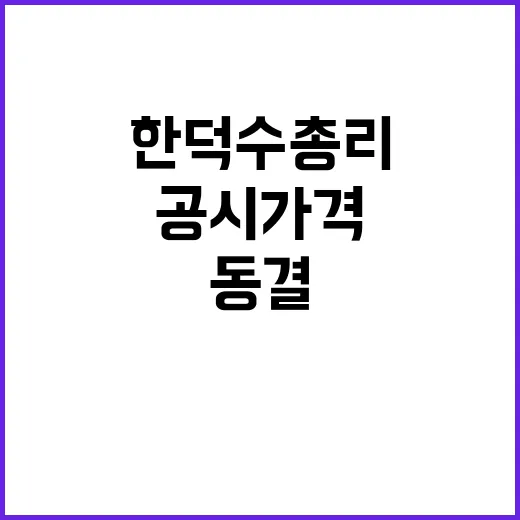 공시가격 동결 한덕…