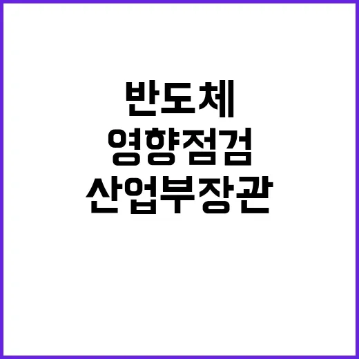 반도체 산업부장관 …