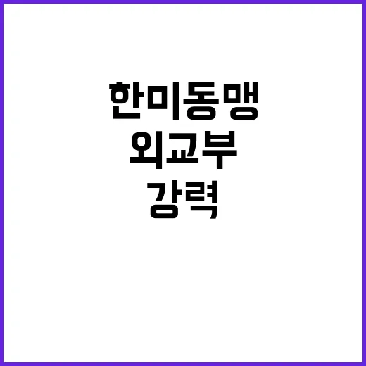 한미동맹 외교부의 …