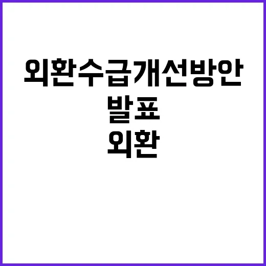 유동성 공급 외환수급 개선방안 발표 예정!