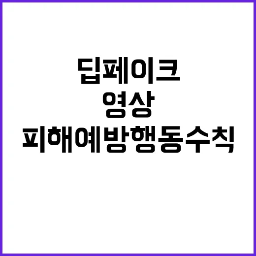 딥페이크 영상 피해…