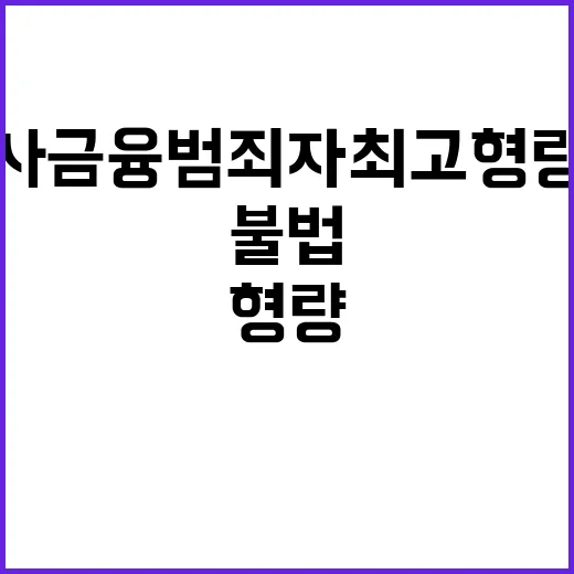 불법사금융 범죄자 …