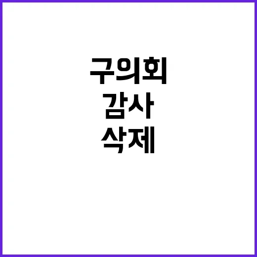 행안부 시·군·구의회 감사 조항 삭제의 배경 공개!