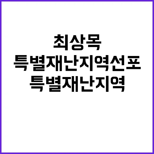 최상목 특별재난지역 선포 사상자 애도 깊어!