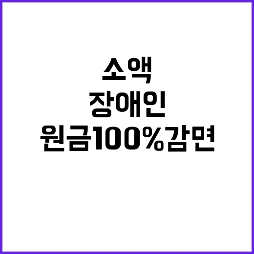 원금 100% 감면…