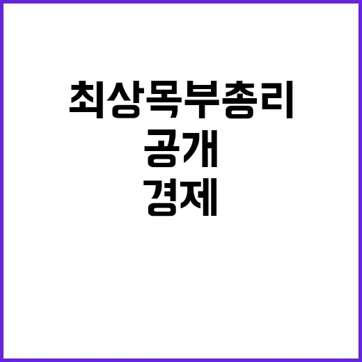 신년사 최상목 부총리의 새로운 경제 비전 공개!