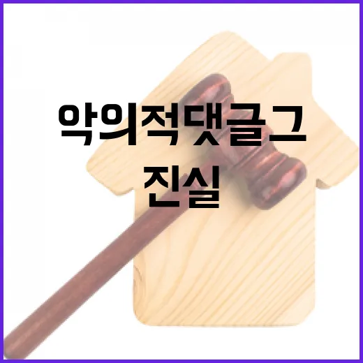 악의적 댓글 그 진…