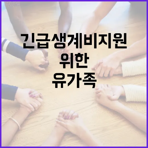 긴급생계비 지원 저…