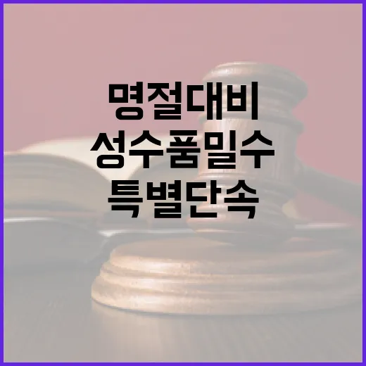 성수품 밀수 특별단속 명절 대비 긴급 조치!