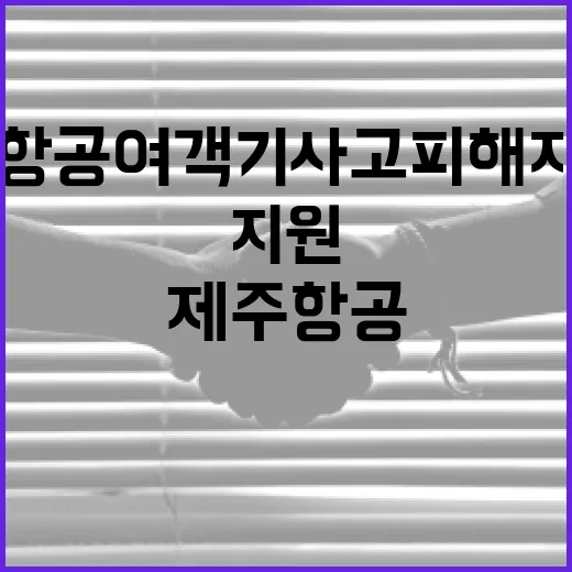 제주항공 여객기 사…