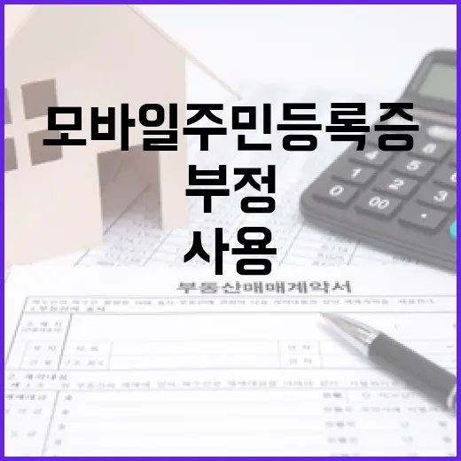 모바일 주민등록증 부정 사용 시 징역형 또는 벌금!