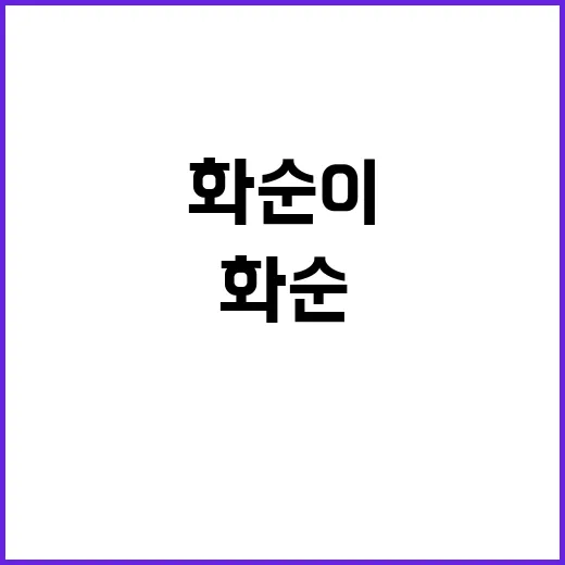 화순이 이야기 배경…