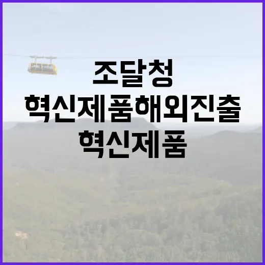 조달청 혁신제품 해외 진출 완벽 지원 시스템!