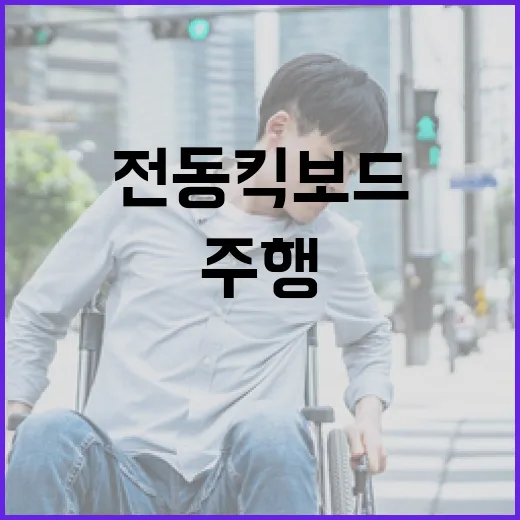 전동킥보드 주행 안…